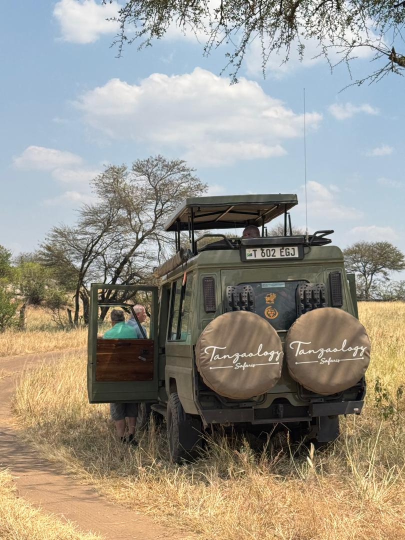 Guests photographing wildlife from a safari vehicle